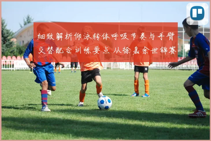 细致解析仰泳转体呼吸节奏与手臂交替配合训练要点 从徐嘉余世锦赛技术动作看核心规律